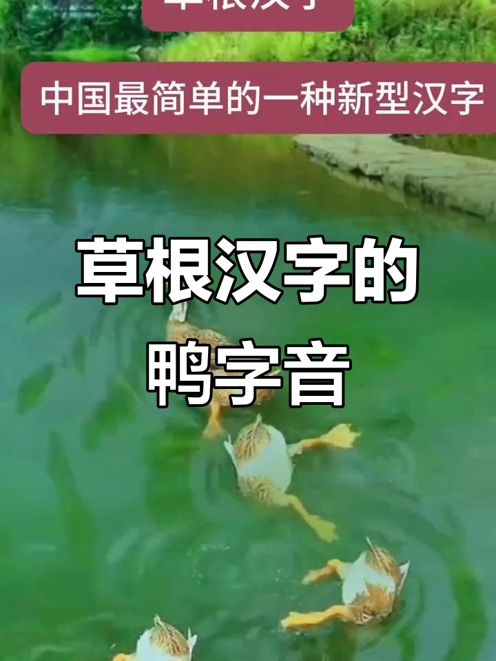 草根汉字如何拼写“鸭”?拼音揭秘