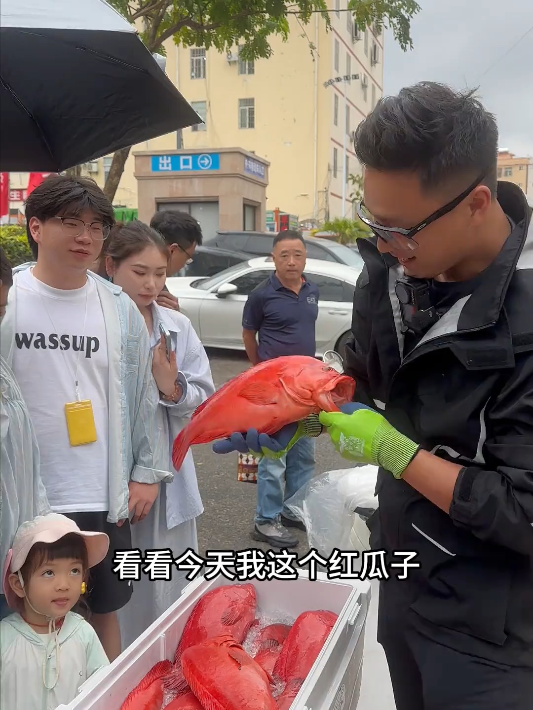 雨天还有人喜欢！辛苦大家顶风冒雨来买鱼呢～红瓜子！红九棘鲈～嫩呢！清蒸清蒸