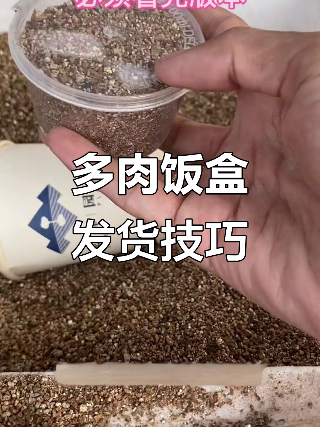 肉肉饭盒打包揭秘,如何安全取出多肉植物