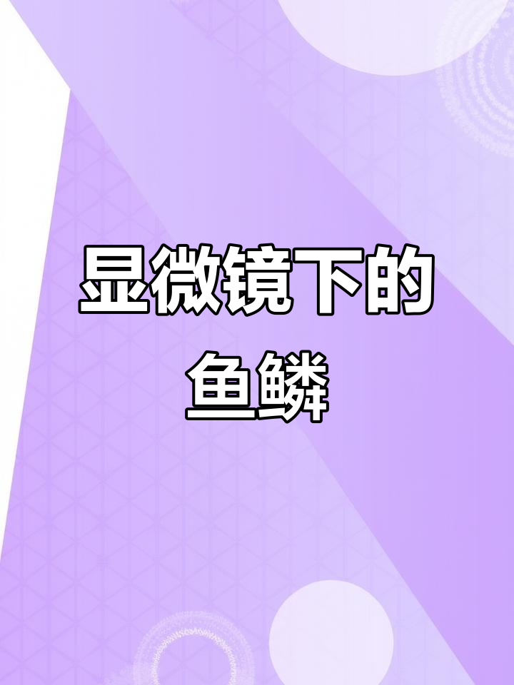 鱼鳞放大后的惊人秘密,原来这么有营养!