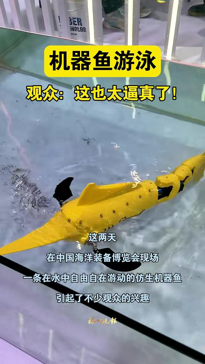 中国海洋装备博览会现场,机器鱼吸睛。(记者李锦清林舒颖摄实习生陈艺萱剪辑)福州 2024世