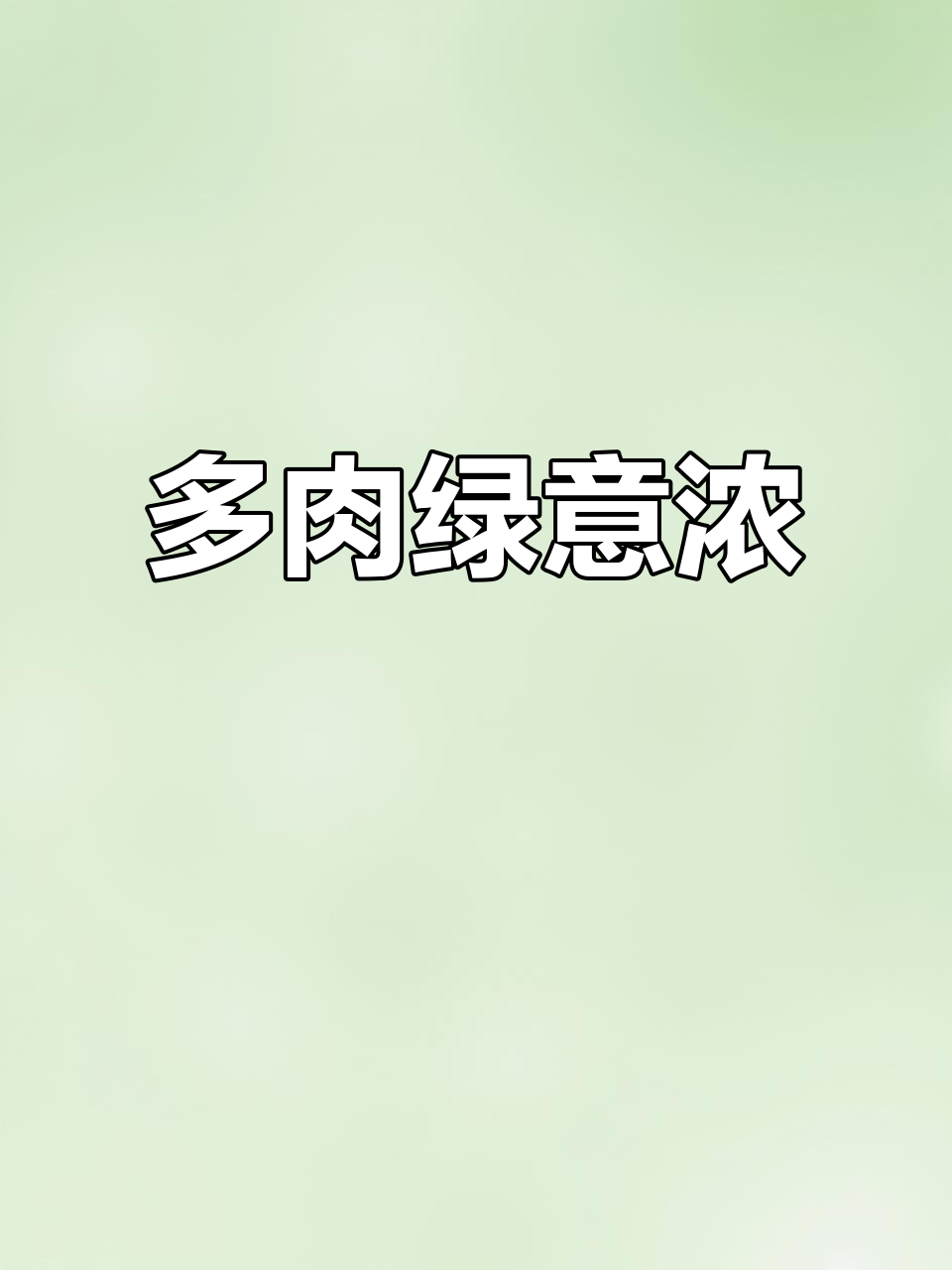 柠檬卷多肉太诱人，雨后绿意盎然，忍不住想拍！