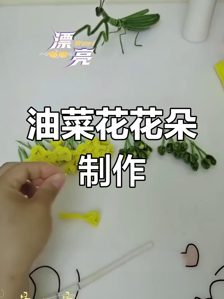 扭棒油菜花教程,轻松打造小清新花朵