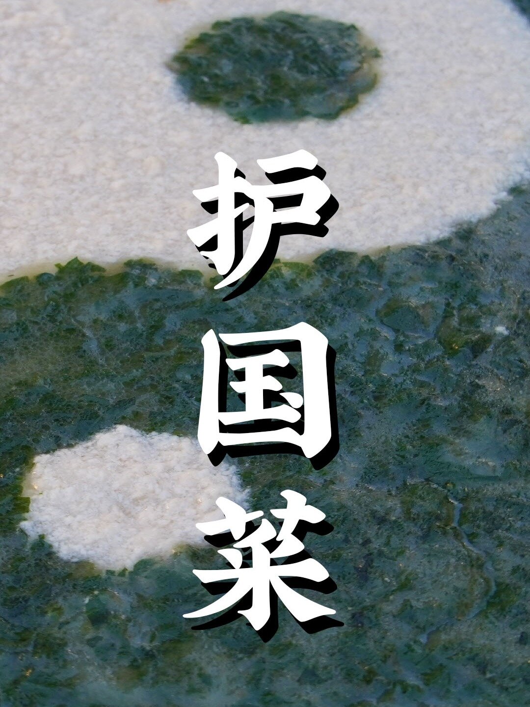 潮菜中素菜荤做的经典代表-太极护国羹