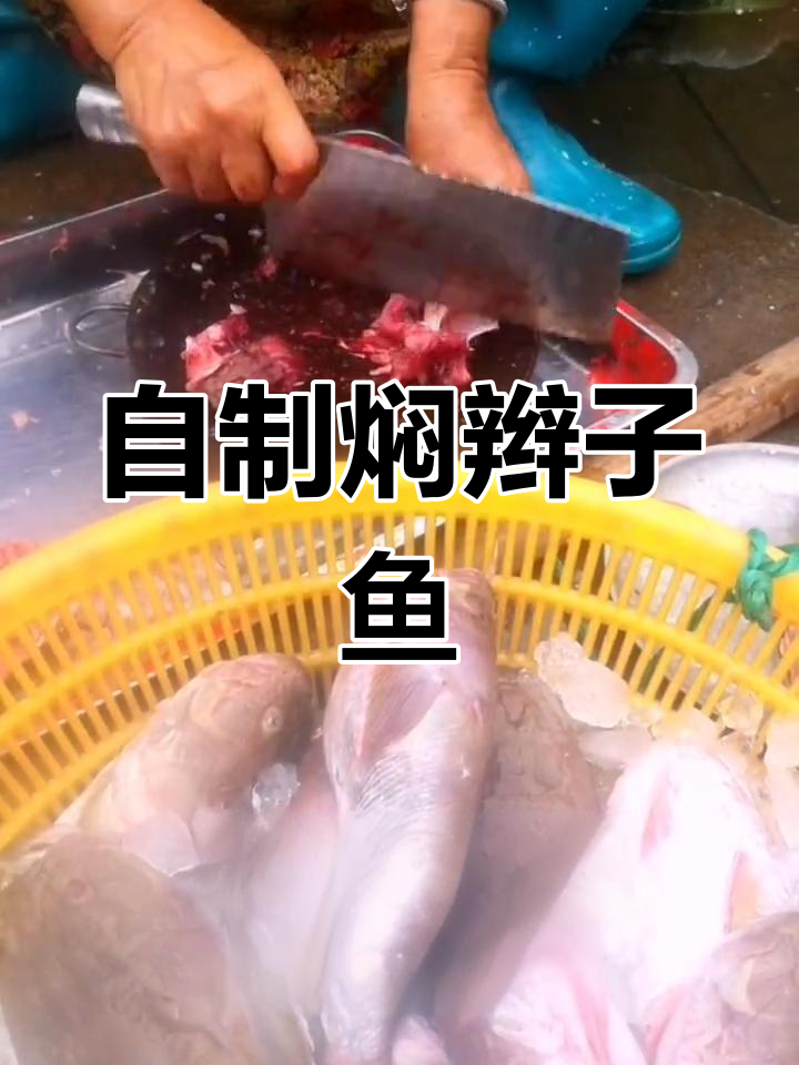焖辫子鱼的家常做法