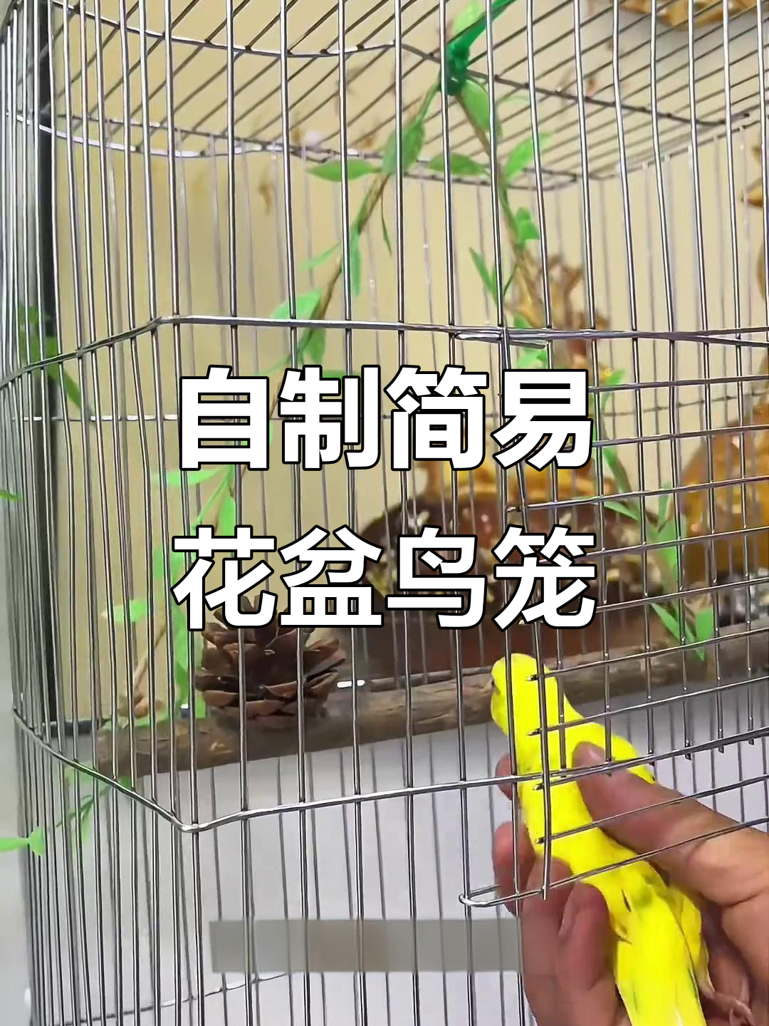 用废铁丝网做花盆鸟笼,简单又实用