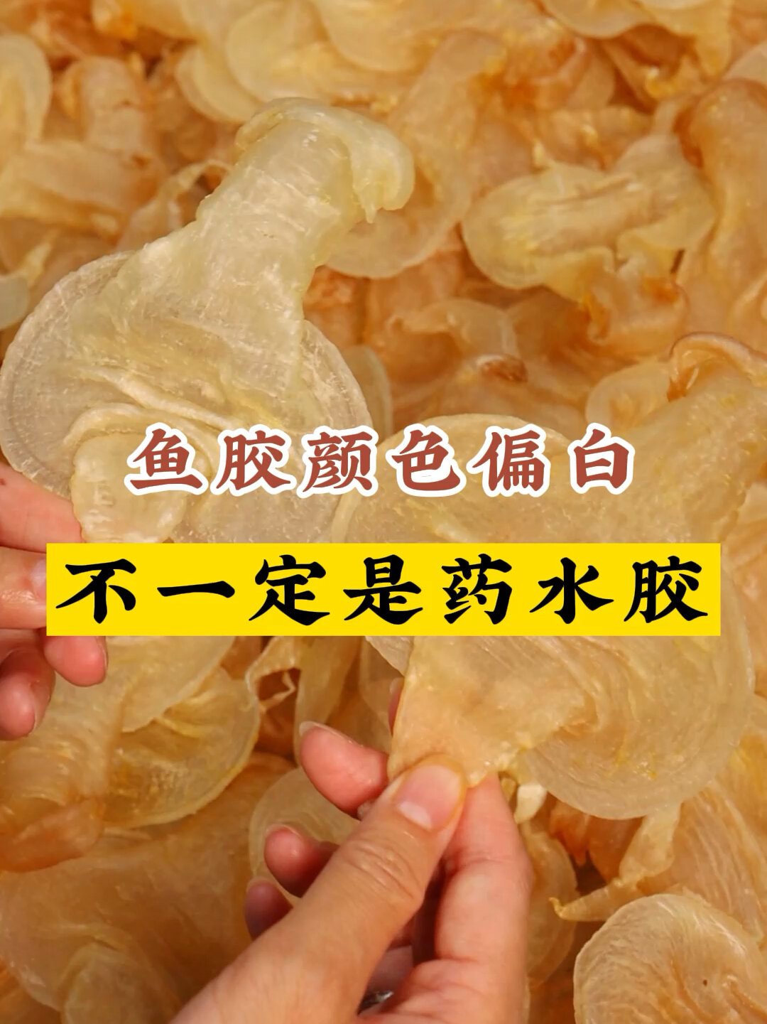 花胶科普|两步教会你看药水花胶,不再踩坑