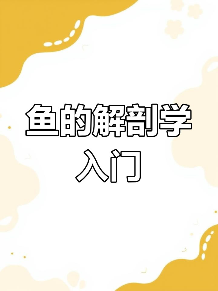 探索鱼的结构:从头部到鳞片的细节解析