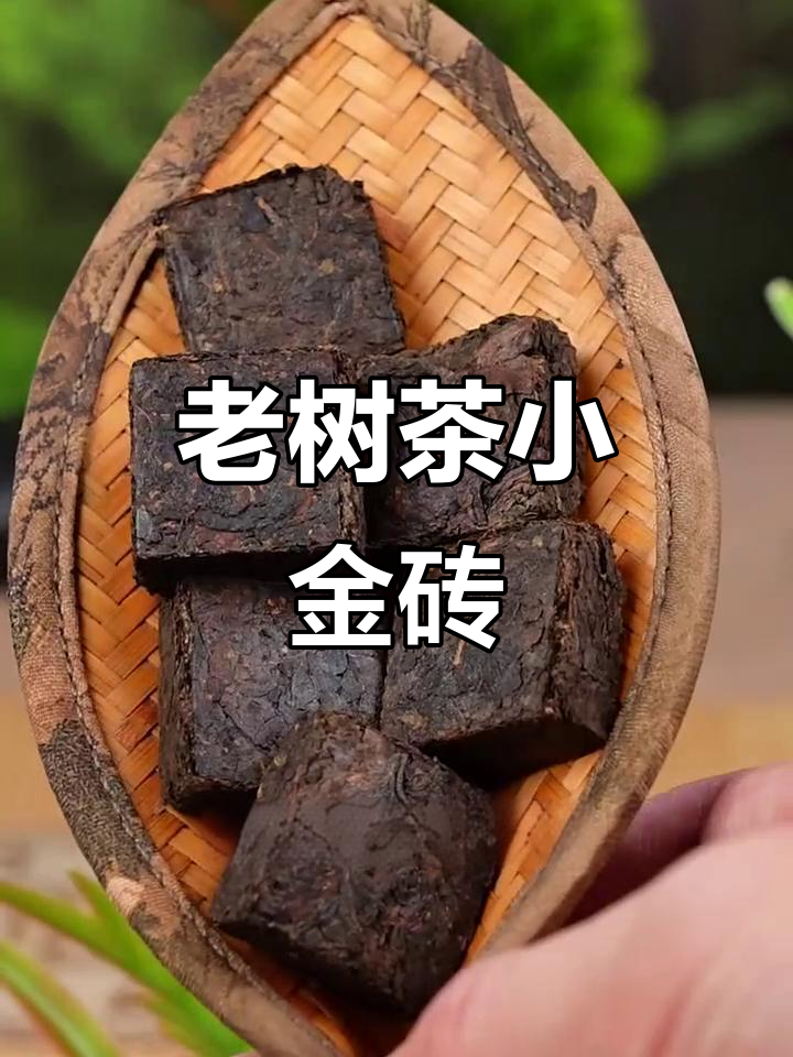 云南蒙海老树茶,香甜口感让人惊艳,耐泡度极高