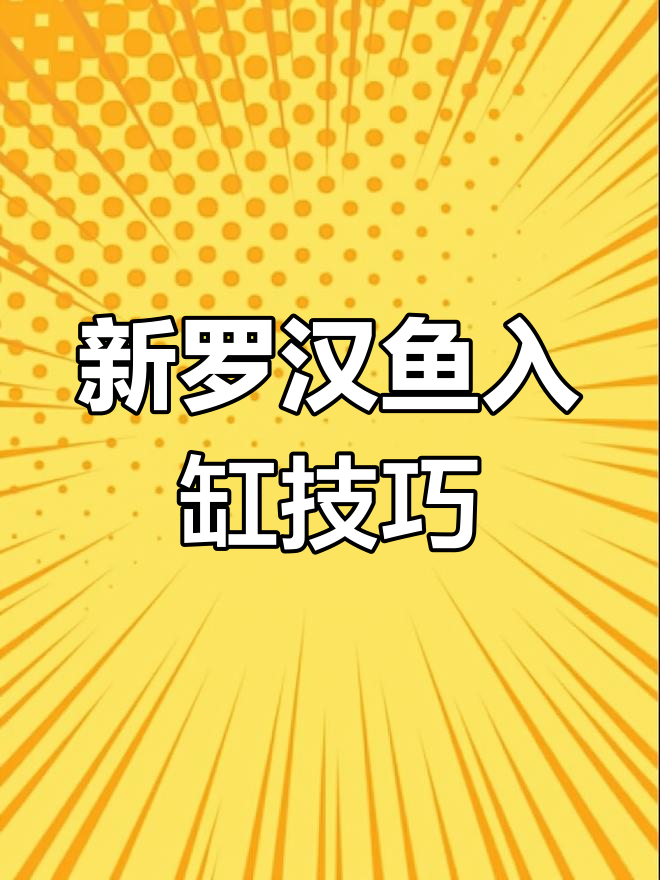 罗汉鱼入缸全攻略:如何避免细菌感染,快速恢复状态
