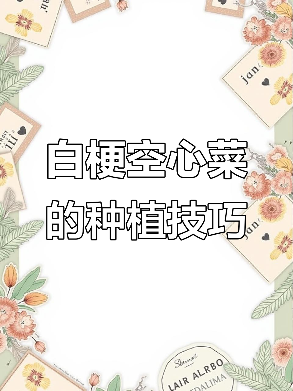 柳叶空心菜，嫩脆无丝，种一次采收多次