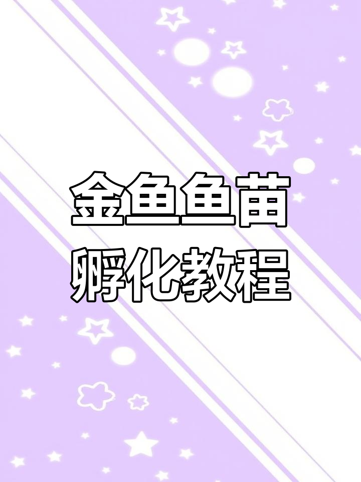 如何轻松孵化金鱼鱼苗