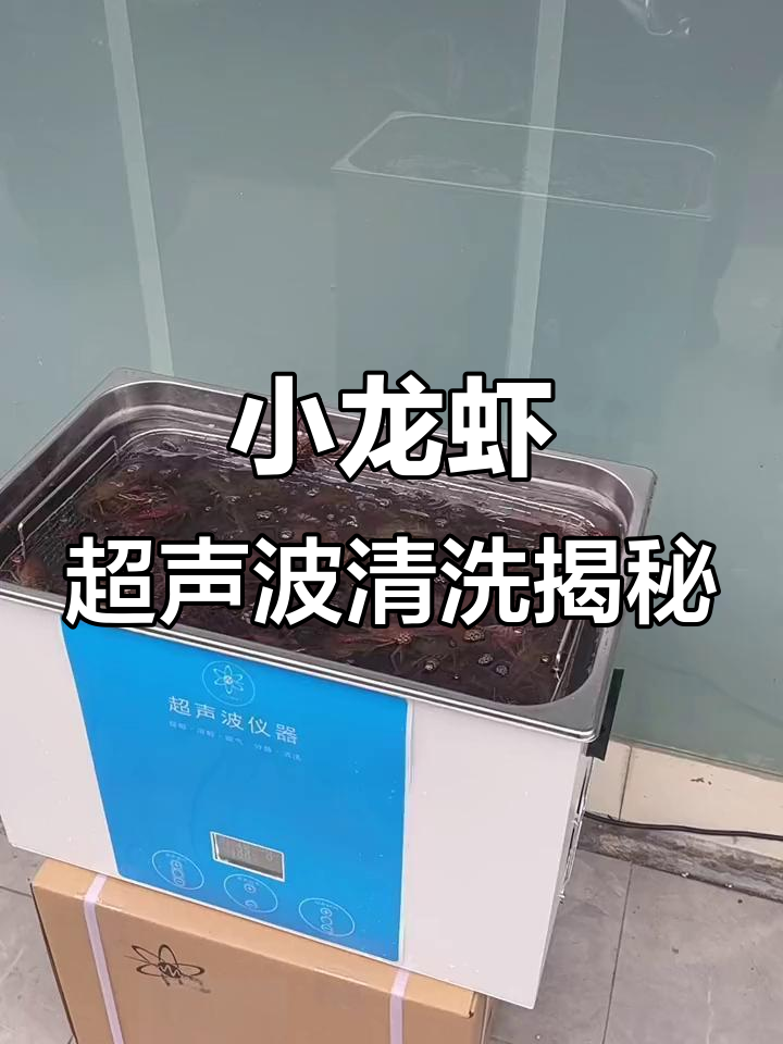 清洗小龙虾的神奇变化,清水变黄后竟然这么干净