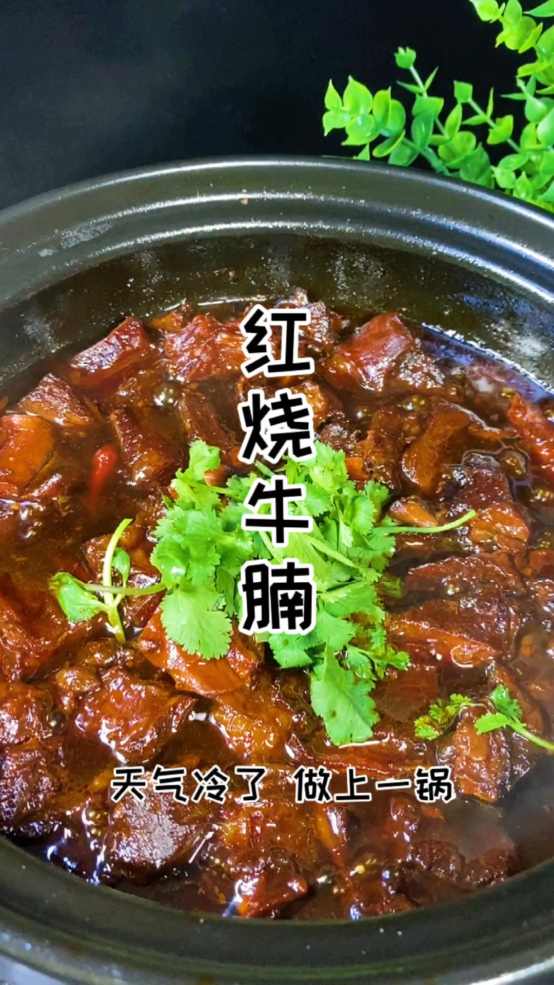 红烧牛腩怎么搭配都好吃,不信你试试