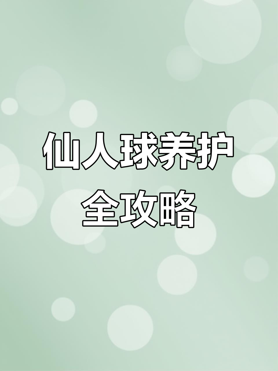 仙人球种植技巧大公开,轻松打造可爱多肉植物