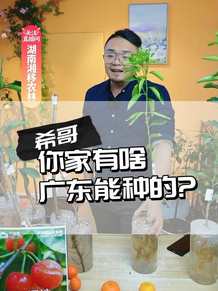 希哥倾情推荐,适合南方的果树有哪些品种?