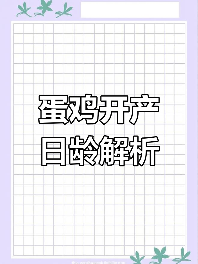 蛋鸡开产时间与体重标准,不同品种差异大
