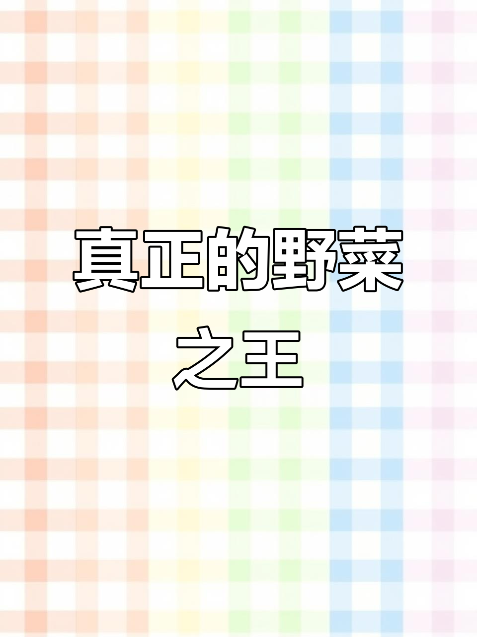 挖野菜也能找到“王者”,尼龙尖儿让你停不下来