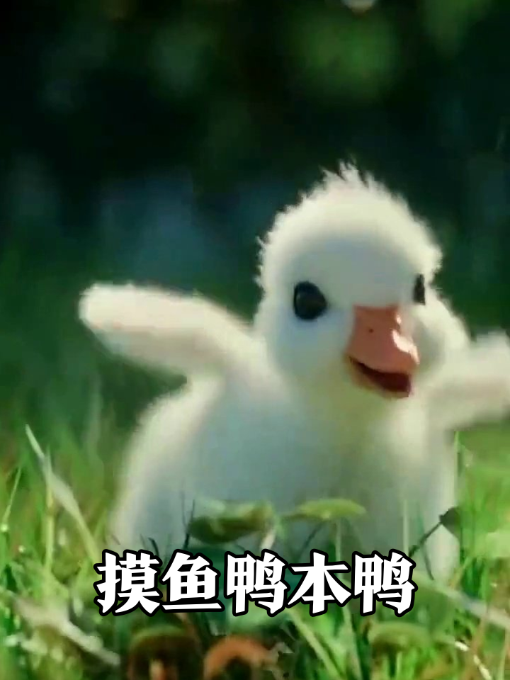 鸭鸭上班摸鱼全记录:草地工位+漫画老板,姿势比我还熟练!