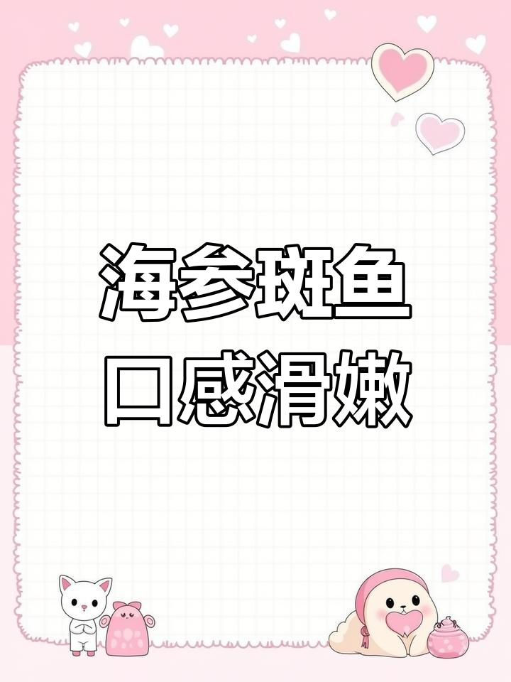 纯野生海参斑鱼,冷水深处的胶原蛋白宝藏