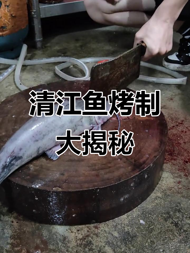 烤鱼、小龙虾、香辣蟹,快来尝尝清江鱼的鲜美!