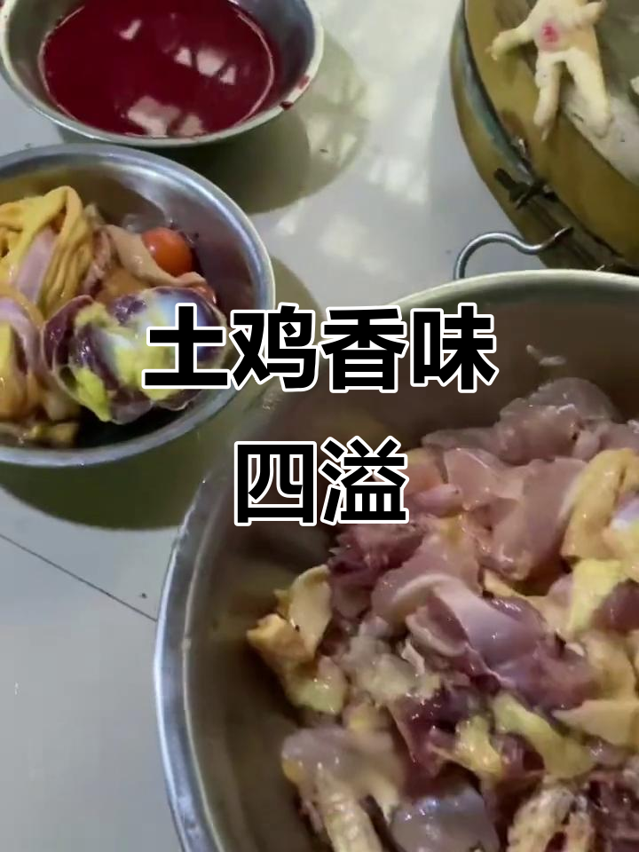 菜花村土鸡现杀,香气扑鼻,绝对美味!