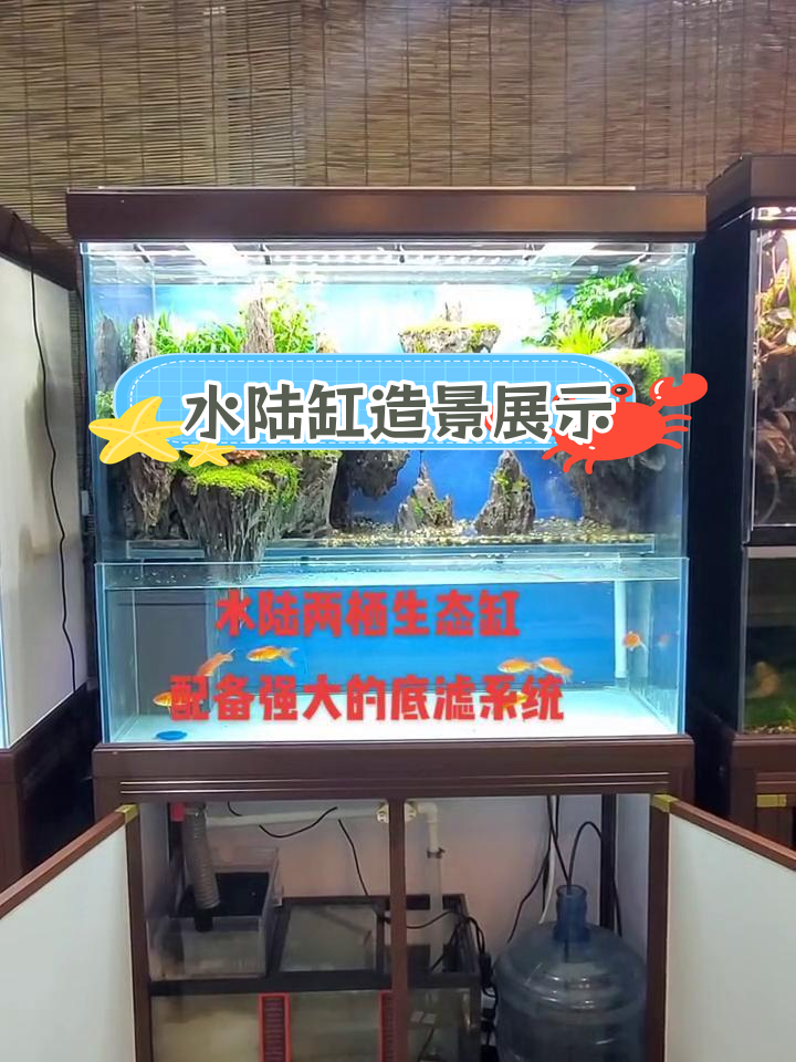 松皮石与水族箱的完美融合,打造独特天空之城景观