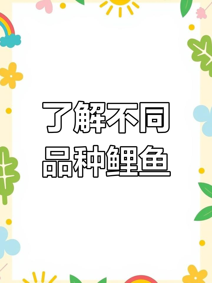 鲤鱼种类大揭秘,黄河荷包红鲤的独特之处