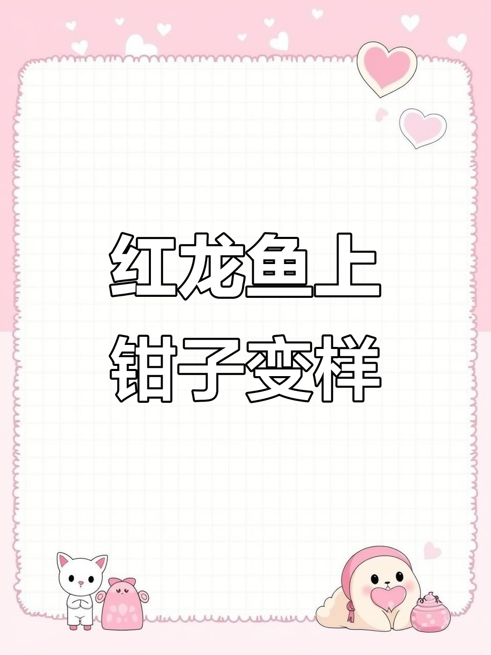 红龙鱼也能“整容”,钳子改变头型,战车造型超惊艳