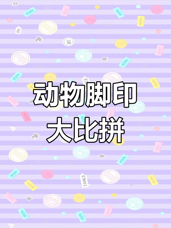 小狗到公鸡,脚印像梅花到大饼?家长快来看看!