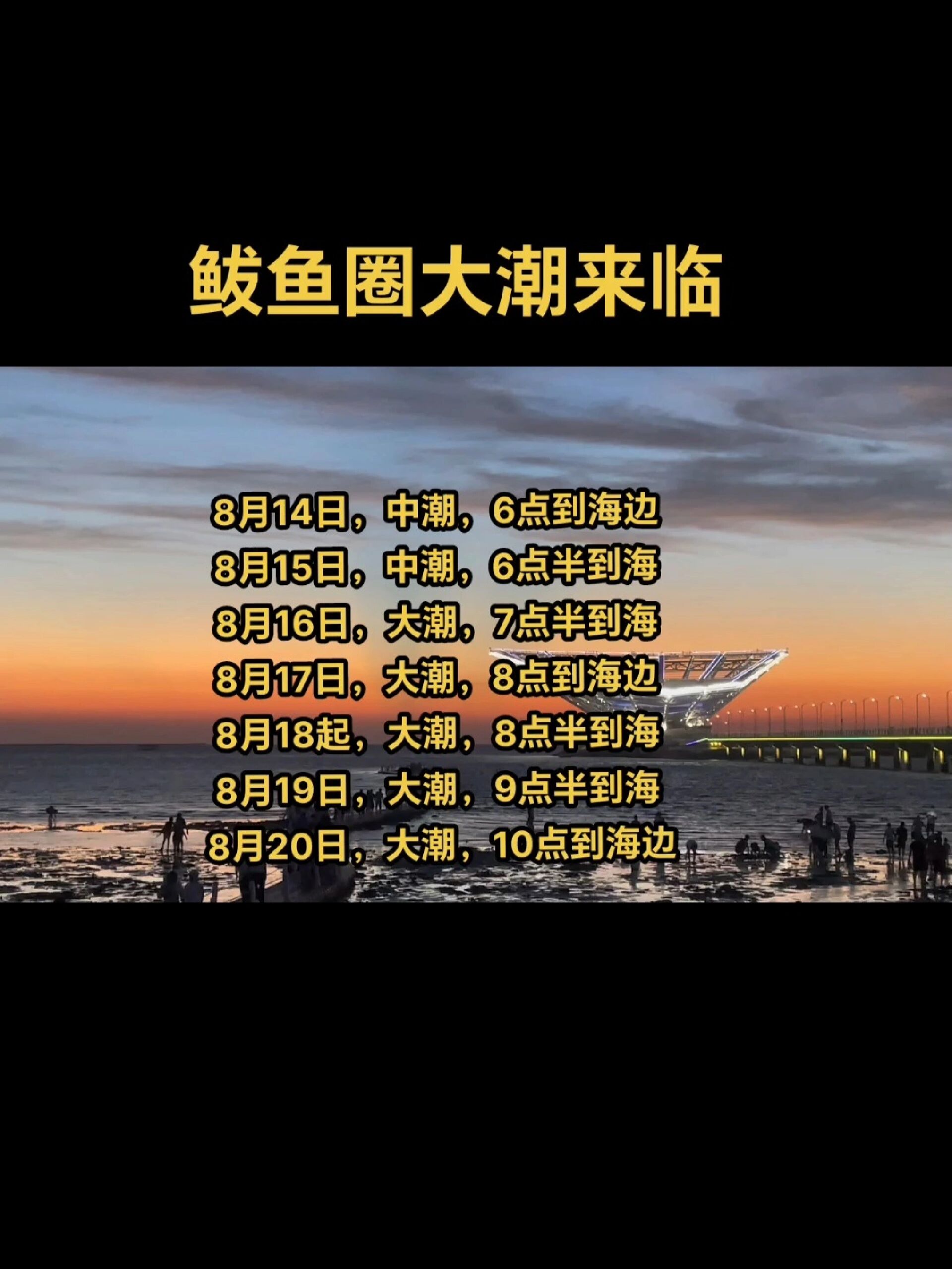 鲅鱼圈8月14日到8月20日的潮汐表来啦