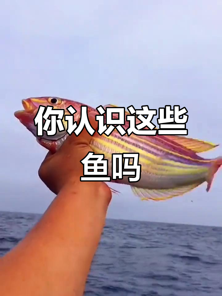 15种常见鱼类大揭秘，你能认出几种？