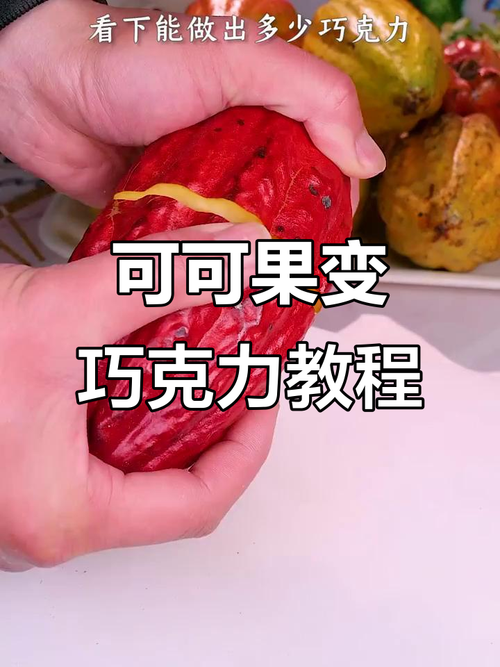 从可可果到巧克力的制作过程，十斤果实才能做出一斤干豆