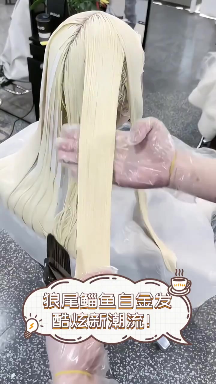 狼尾鲻鱼白金发,酷炫新潮流!