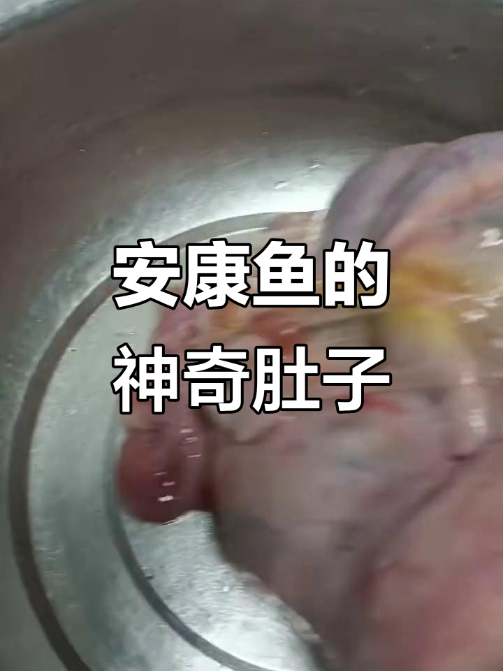 安康鱼肚子里全是惊喜,满满一肚子的秘密