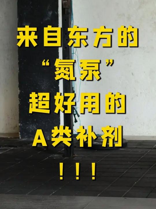 来自东方的“神秘力量”?好用不贵的的补剂!甜菜根粉,谁用谁知道!