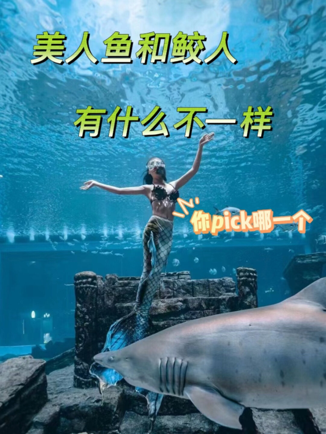 鲛人和美人鱼的区别是什么?你PICK哪一个