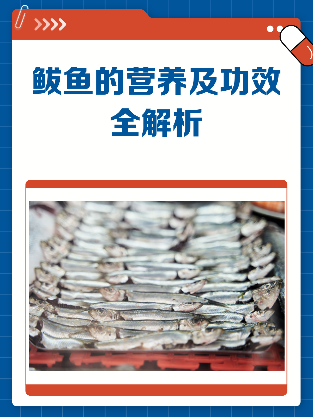 鲅鱼的秘密花园:营养价值大揭秘!