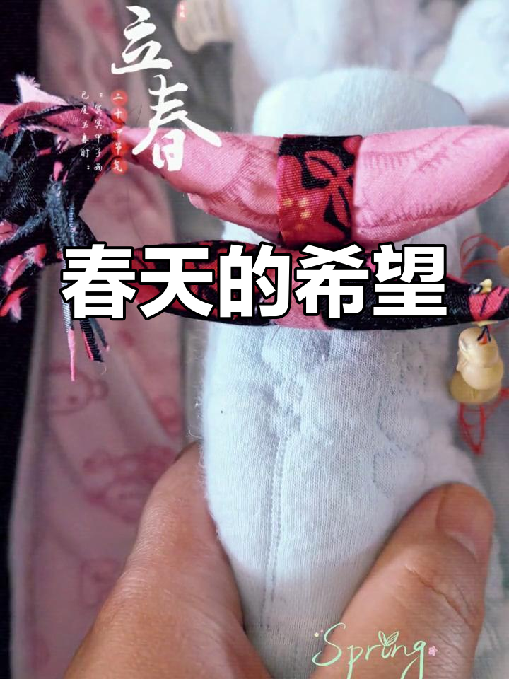 立春习俗:奶奶缝制的立春鸡