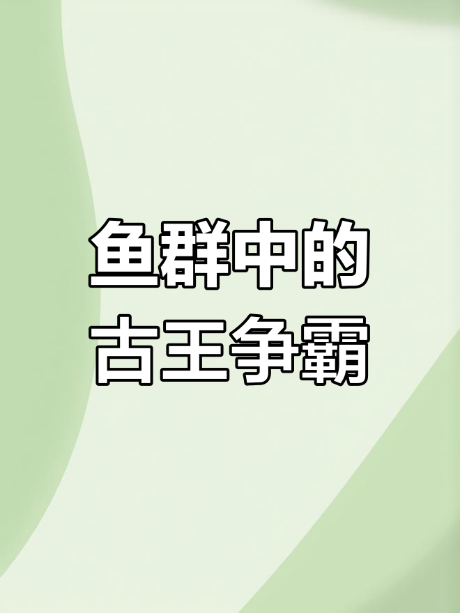 鱼缸里的修仙大战:鲶鱼自相残杀,谁能称王?