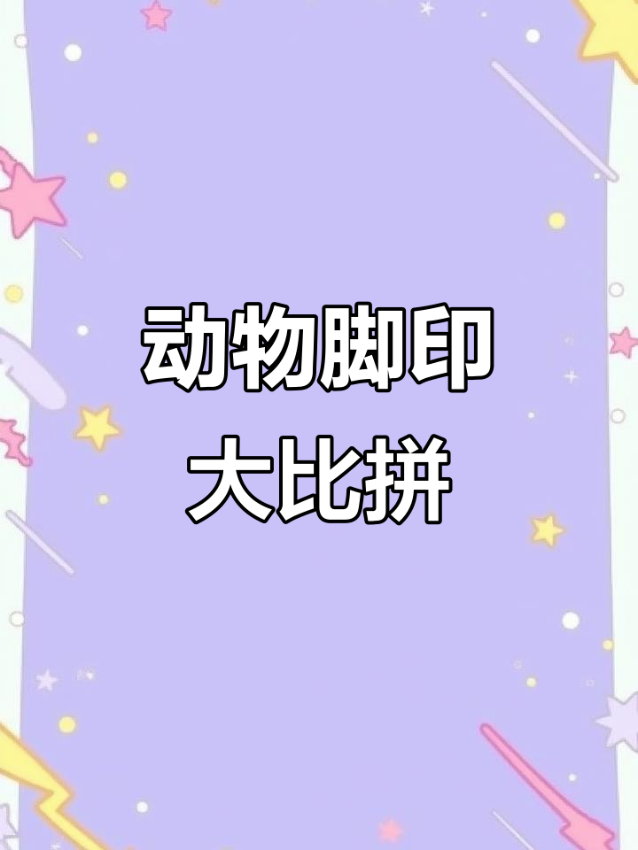 小动物们的脚印大不同，小鸡小鸭小熊都来踩一踩
