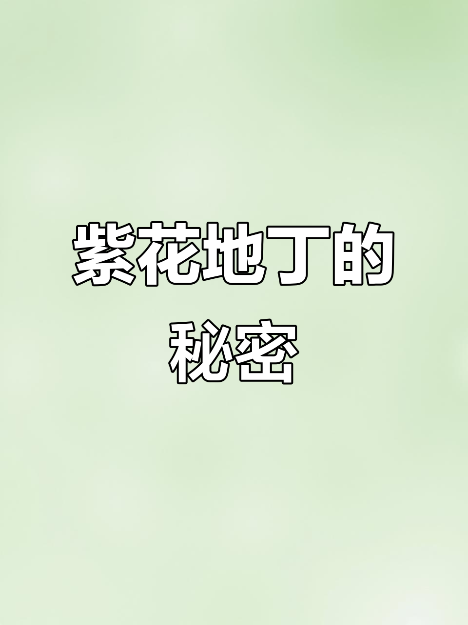 紫花地丁,堇菜的一种,常与蒲公英相伴