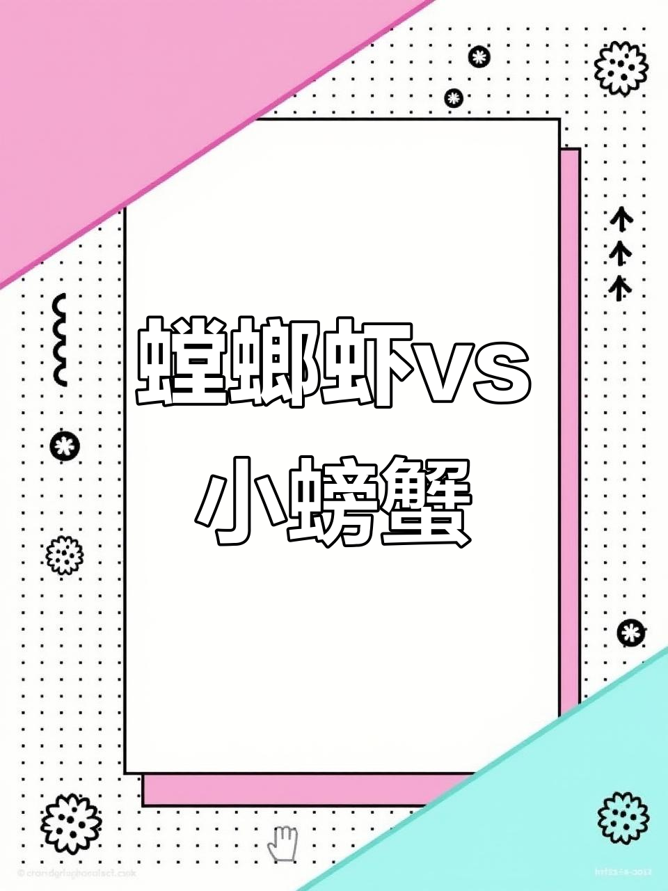 螳螂虾与小螃蟹的惊险追逐,谁能制服谁?