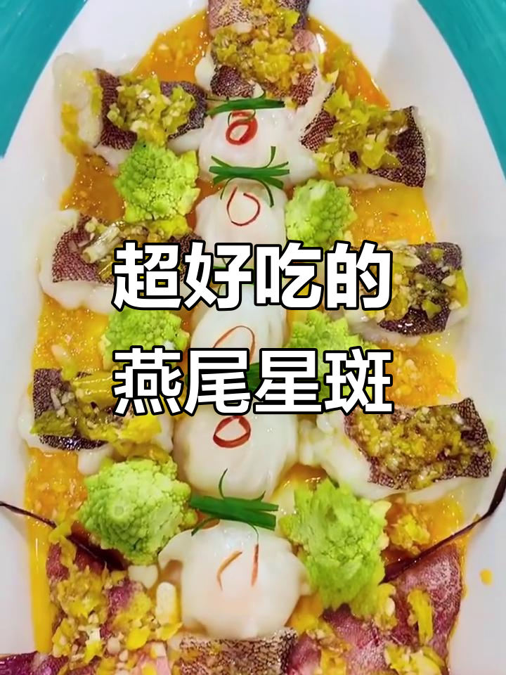 燕尾星斑:海鲜中的贵族,肉质鲜嫩无比