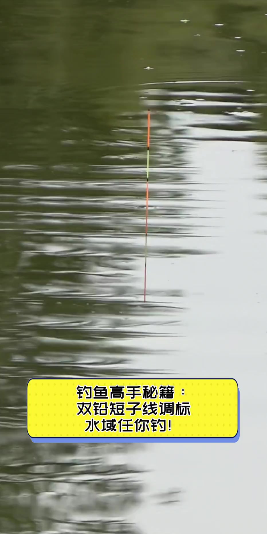钓鱼高手秘籍:双铅短子线调标,水域任你钓!