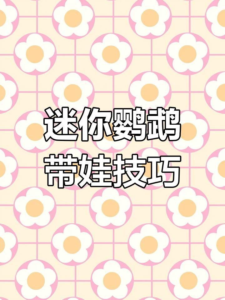 母鱼产卵后为何打公?迷你鹦鹉带娃全攻略