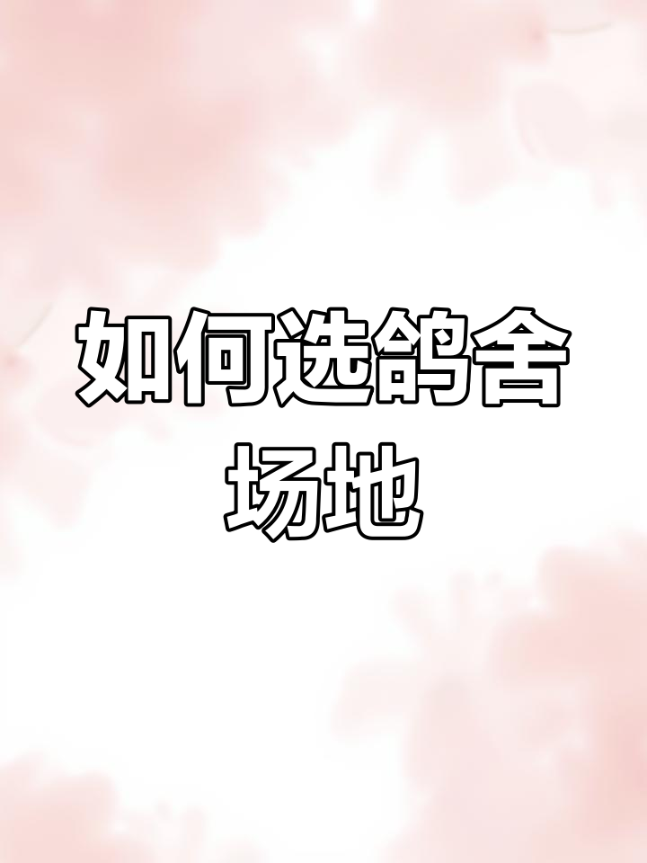 鸽子养殖厂房选择技巧,低成本高效益!