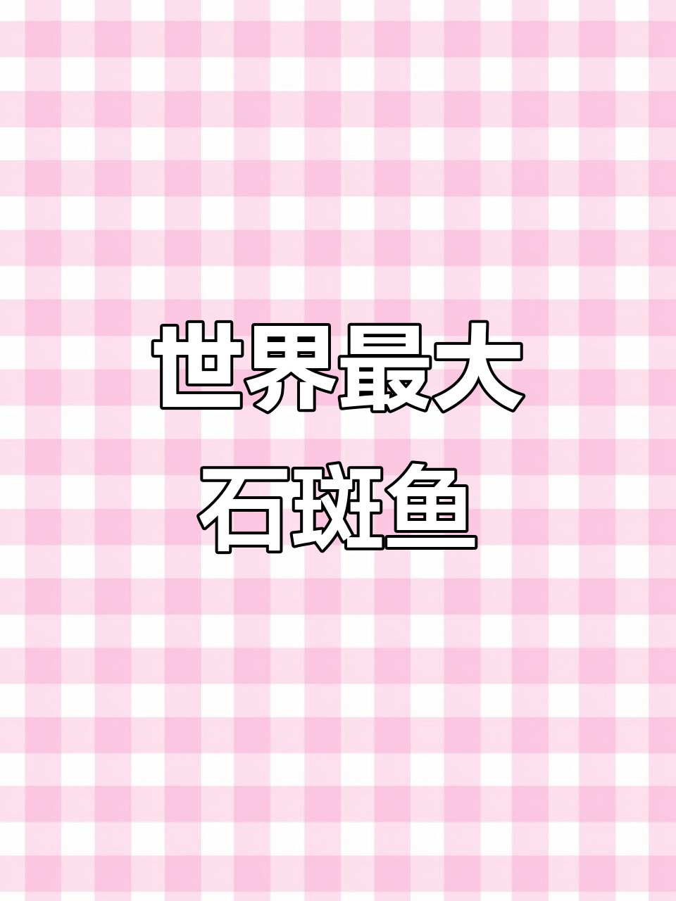 世界上最大的石斑鱼,重达八百斤!