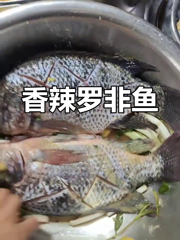 罗非鱼的家常做法,轻松学会