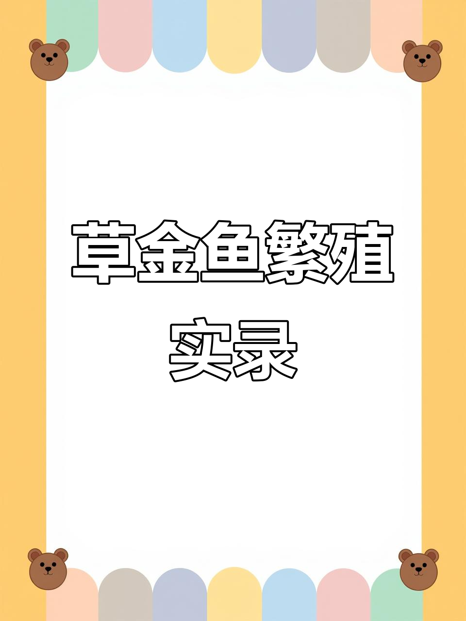 草金鱼产卵全过程,公母追逐激烈!